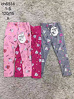 Лосини для дівчат оптом, S&D, 1-5 років, № CH-6514, фото 2