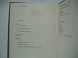 Федорова Е.В. Знамениті міста Італії. Рим, Флоренція, Венеція. Пам'ятники історії та культури (б/у)., фото 5
