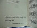 Федорова Е.В. Знамениті міста Італії. Рим, Флоренція, Венеція. Пам'ятники історії та культури (б/у)., фото 6
