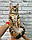 Хлопчик бенгал, (Коричневий нашийник) ін. 12.05.2021. Бенгальські кошенята з вихованця Royal Cats. Україна, Київ, фото 7