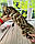 Хлопчик бенгал, (Сірий нашийник) ін. 12.05.2021. Бенгальські кошенята з вихованця Royal Cats. Україна, Київ, фото 2