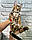 Хлопчик бенгал, (Сірий нашийник) ін. 12.05.2021. Бенгальські кошенята з вихованця Royal Cats. Україна, Київ, фото 6