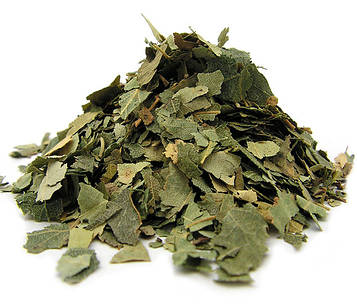 Береза листя 500 г