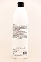 ProfiStyle Відновлюючий Шампунь для пошкодженого волосся, 1000 мл, фото 2