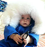 Зимовий костюм Royal Baby напівкомбінезон і куртка, фото 2