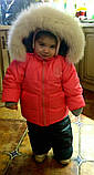 Зимовий костюм Royal Baby напівкомбінезон і куртка, фото 8
