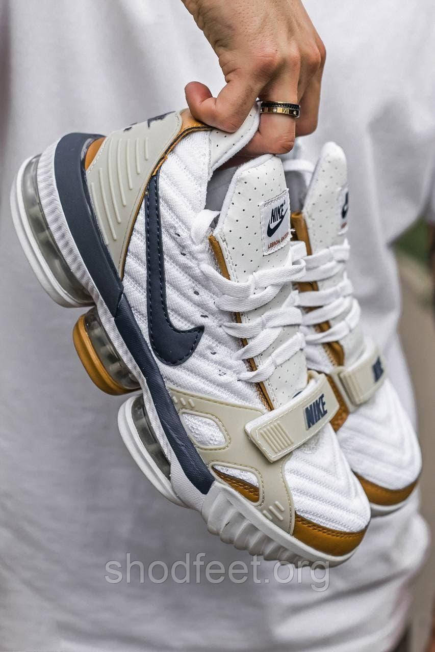 Баскетбольні кросівки Nike Lebron 16 Brown Knows, фото 1