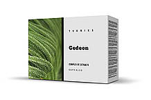 Gedeon (Гедеон)