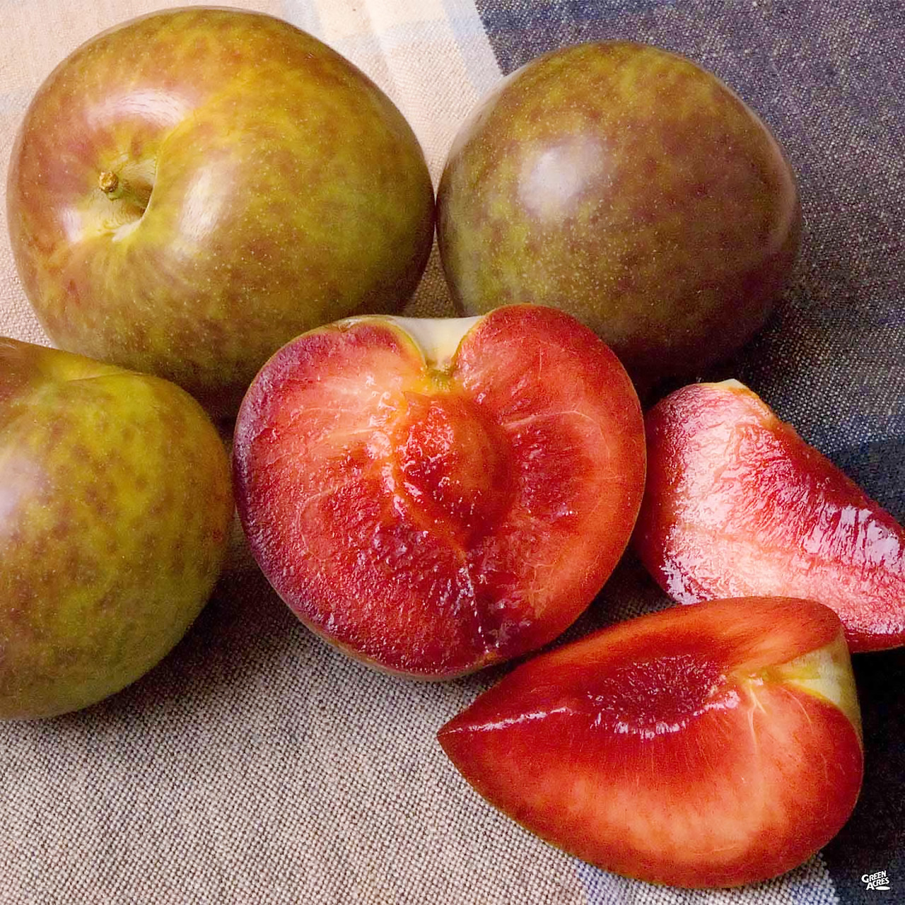 Саджанці Гібрида сливи-абрикоса Плумкот - середній, солодкий, великоплідний