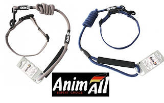Поводок - нашийник для собак AnimAll