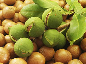 Горіхи макадамія, макадамія, 500 г - Targroch, фото 5