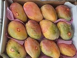 Манго з Єгипту