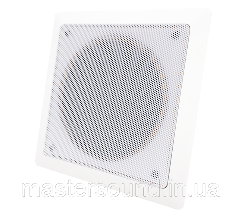 Стельовий динамік Sky Sound P-2740TW, фото 1