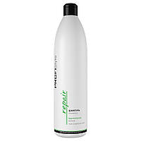 Шампунь відновлюючий для пошкодженого волосся PROFIStyle Repair Shampoo 1000 мл (4820003290552)