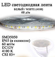 LED лента 5050 IP65 в силиконе (60 шт/м) БЕЛЫЙ WHITE (DC12V) влагозащищенная