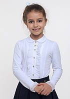 Блуза шкільна для дівчинки (114513), Smil (Смил) 146 р. Темно-синій/Молочний