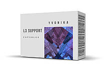 L3 Support (Л3 Супорт)