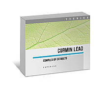 Curmin Lead (Курмін Леад)