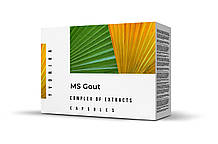 MS Gout (МС Гоут)