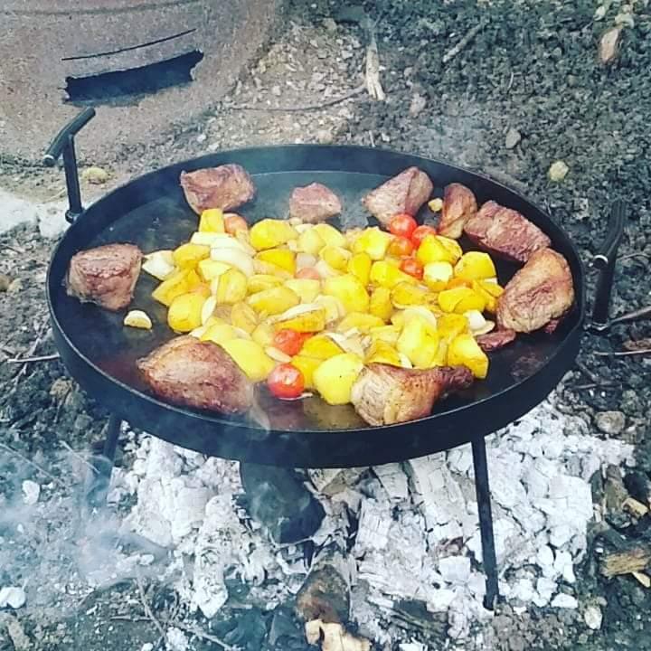 Самодельный садж из диска бороны фото