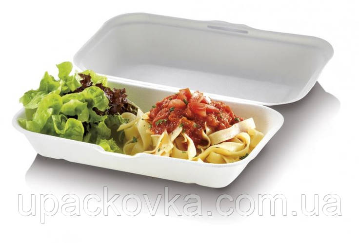 Одноразова упаковка для харчових продуктів: ланч-бокси.