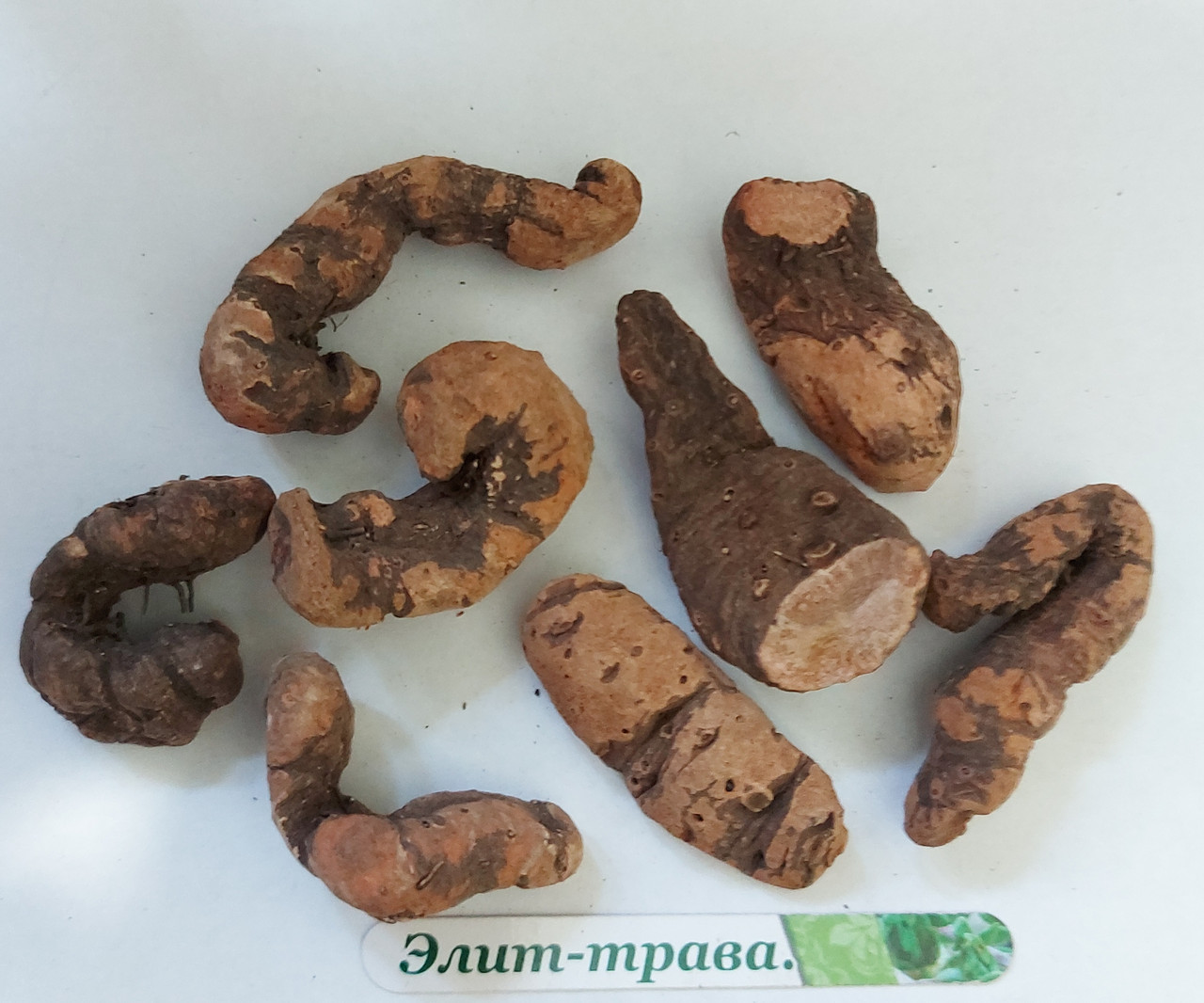 Корінь горця зміїного (шийка рака)100грам, фото 1