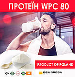 Концентрат сироваткового білка WPC80 Bempresa Польща, фото 2