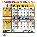 Йоркширський тер'єр Puppy до 10 місяців 500 г, фото 5