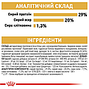 Йоркширський тер'єр Puppy до 10 місяців 500 г, фото 4