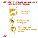 Royal Canin Yorkshire Terrier Adult 500 г сухий корм для дорослих собак породи йоркширський тер'єр, фото 5