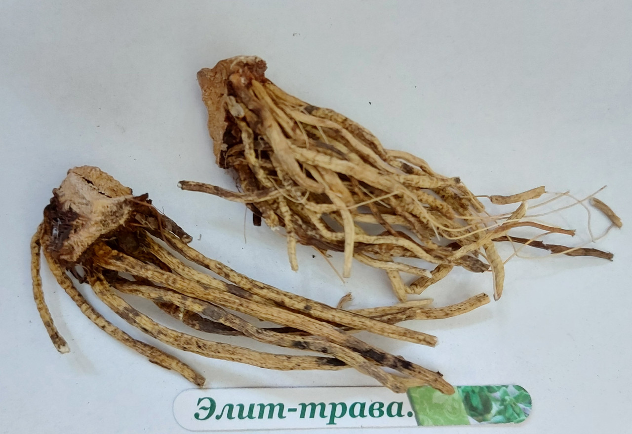 Ляльковик корінь (чемеріца Лобеля) 50 грам