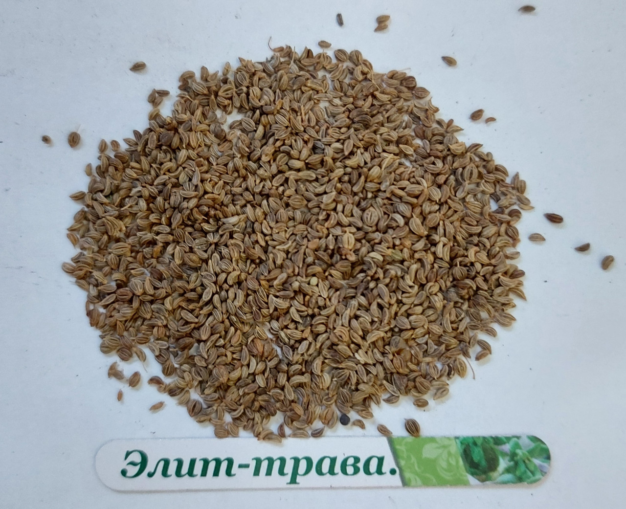 Насіння петрушки 100 грам, фото 1