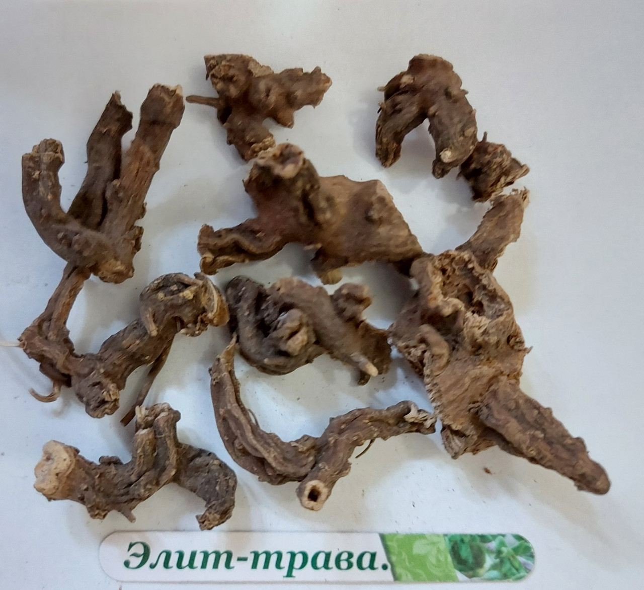 Норічник вузлуватий корінь 100 грам, фото 1