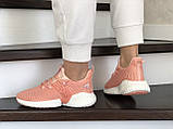 Жіночі демісезонні кросівки Adidas alphabounce instinct пудра 36, фото 2