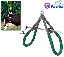 Підйомник до 800кг СТАНДАРТ для корів дрібних та середніх порід