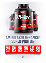 Сироватковий протеїн Betancourt Whey Reloaded Protein Concentrate and Isolate 2316 г, фото 5