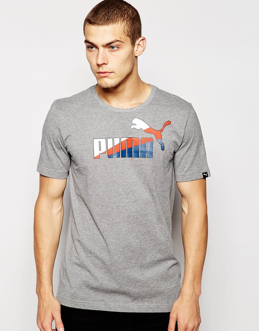 Чоловіча сіра Футболка PUMA Logo three colours