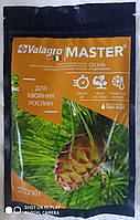 Комплексне водорозчинне мінеральне добриво для хвойних рослин Master 250 гр. ОСІНЬ Valagro