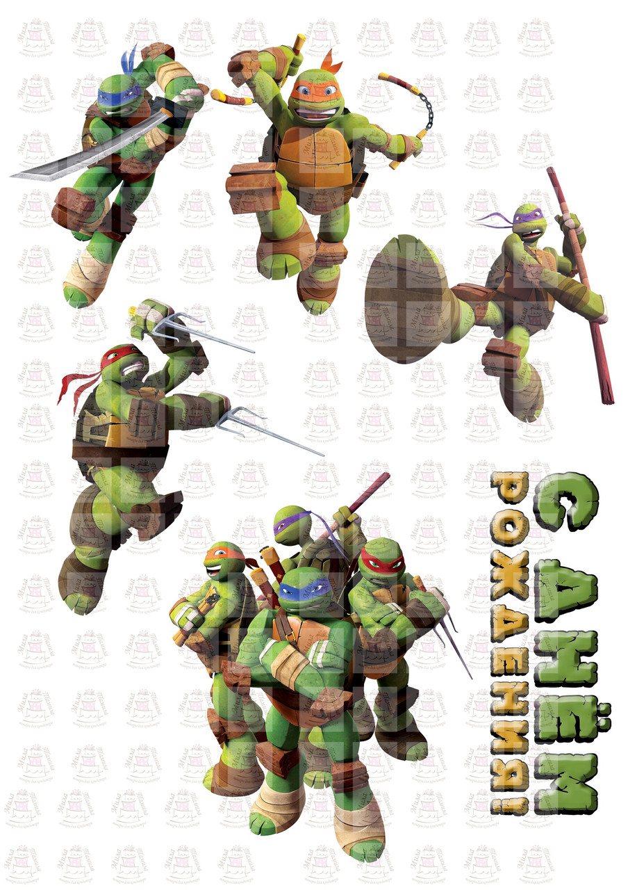 Вафельна картинка З Днем Народження, Черепашки ніндзя (201073)