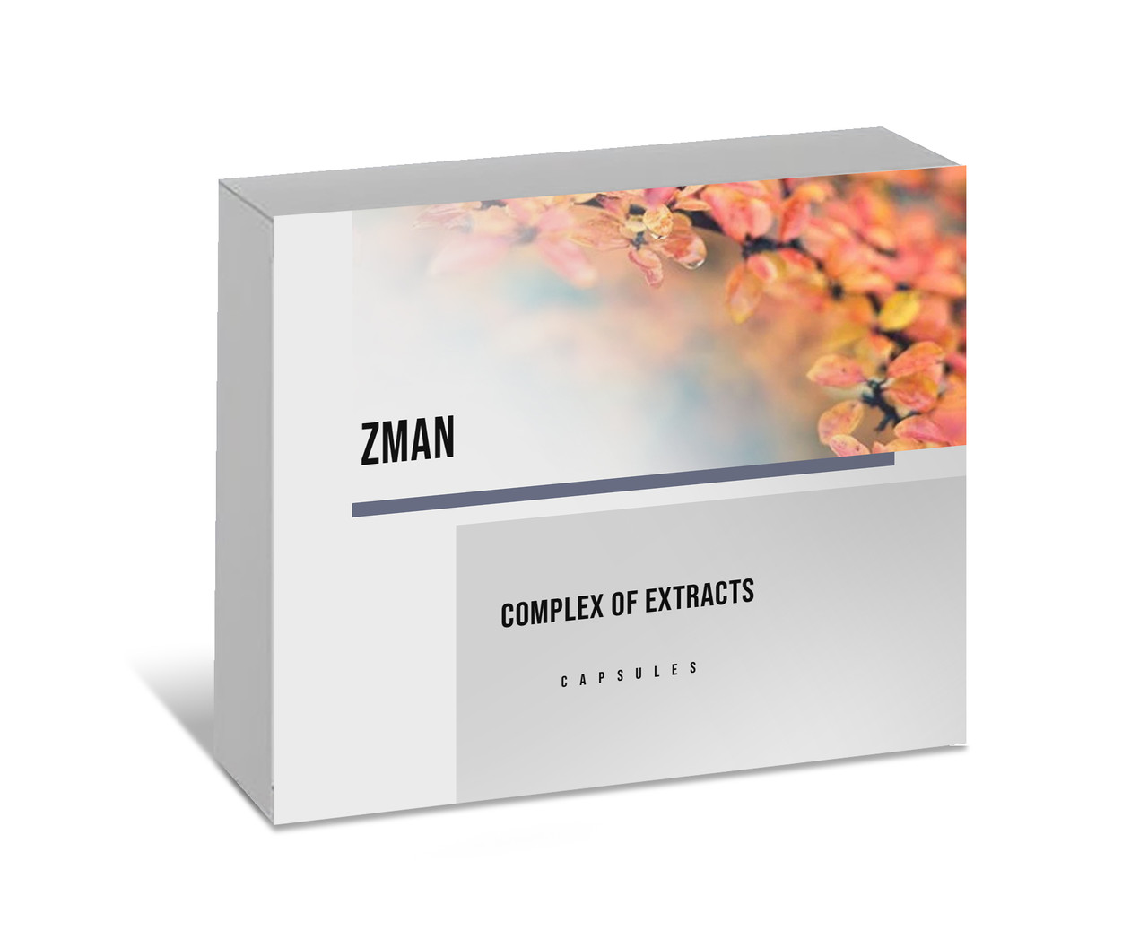 ZMan (Редагувати)