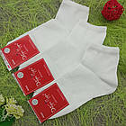 Шкарпетки жіночі середні весна/осінь білі р23-25 ДОБРА ПАРА лайкра 30032095, фото 2