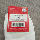 Шкарпетки жіночі середні весна/осінь білі р23-25 ДОБРА ПАРА лайкра 30032095, фото 7