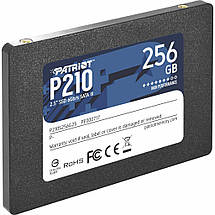256GB SSD диск Patriot P210, твердотельный ссд 2.5" накопитель 256 гб для ПК и ноутбука acer, asus, lenovo, фото 2