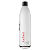 Шампунь для об'єму PROFIStyle Volume Shampoo 250 мл (4820003291511)