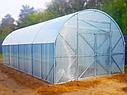 Теплиця "Комфорт" 5х10х2,8 під полікарбонат преміумкласу 6 мм, фото 3