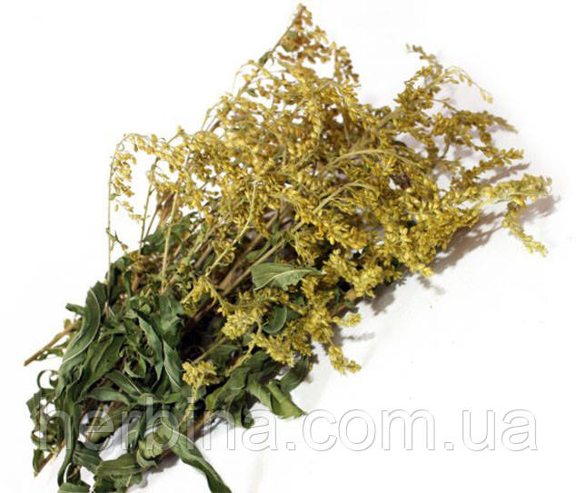 Золотарник трава, 500 г