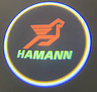Логотип підсвічування двері HAMANN Lazer door HAMANN, фото 3