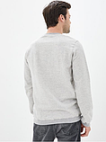Кофта чоловіча Champion Sweatshirt сіра трикотажна. Світшот з принтом Чемпіон Весняний, Зимовий. Пайта Чампіон, фото 3