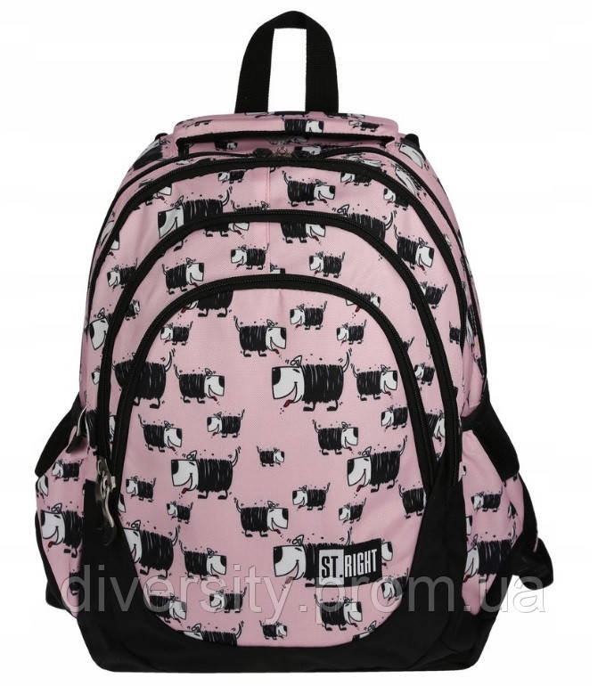 Подростковый школьный рюкзак BP-06 "Dogs" ST.RIGHT 590007