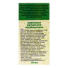 Композиція ефірних олій "Російська баня", 10 мл, Адверсо, фото 4